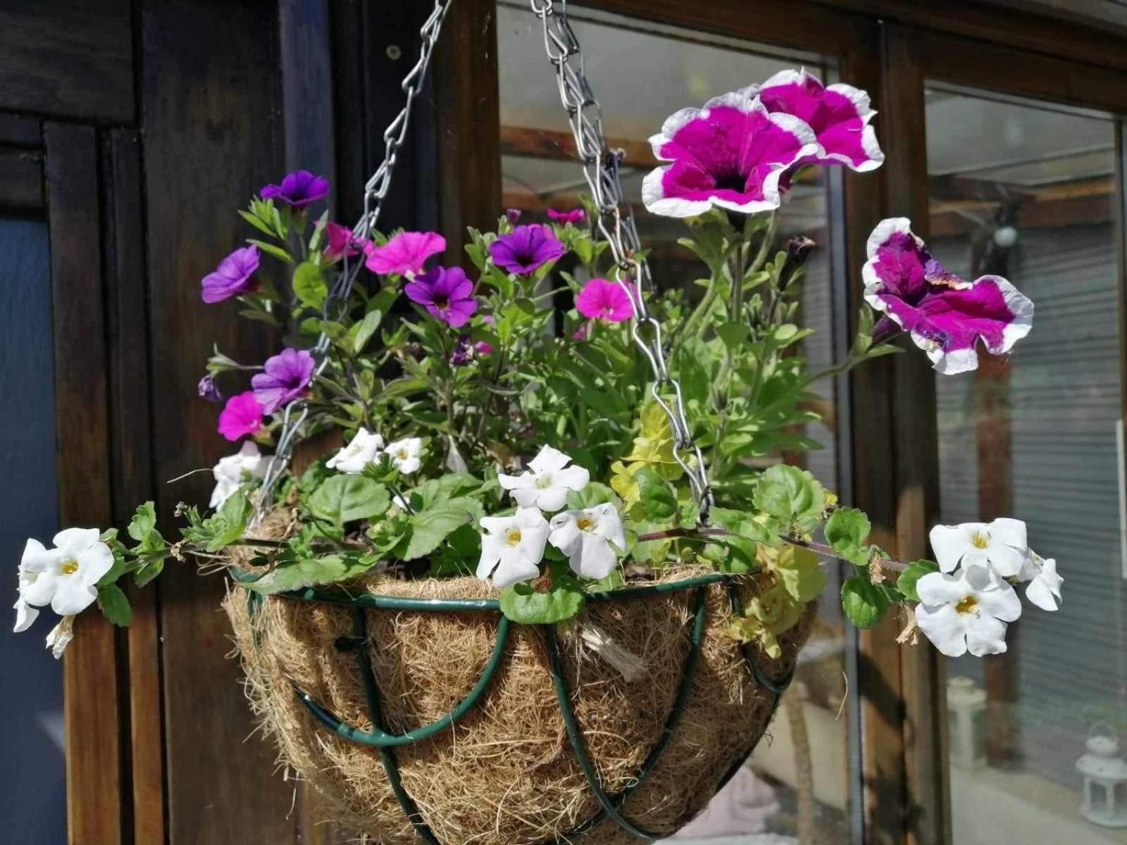 Normand Holiday Home - Vire Calvados Relaxing Rural Retreat Le Reculey 외부 사진